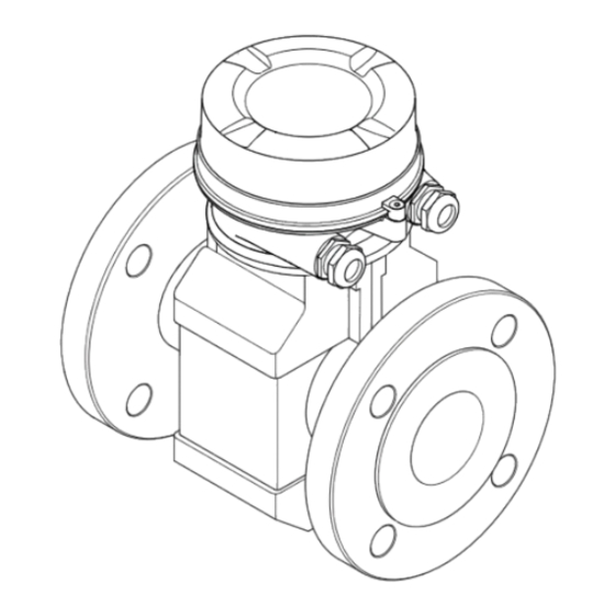 Endress+Hauser Proline Promag E 100 Manual De Instrucciones