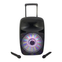 Party Light & Sound PARTY-SP700 Manual De Instrucciones