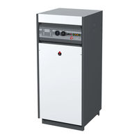 ACV E-Tech S 240 Manual De Instalación, Uso Y Mantenimento