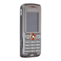 Sony Ericsson W200 Manual De Uso
