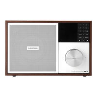 Grundig WTR 3200 BT DAB+ WEB Manual Del Usuario