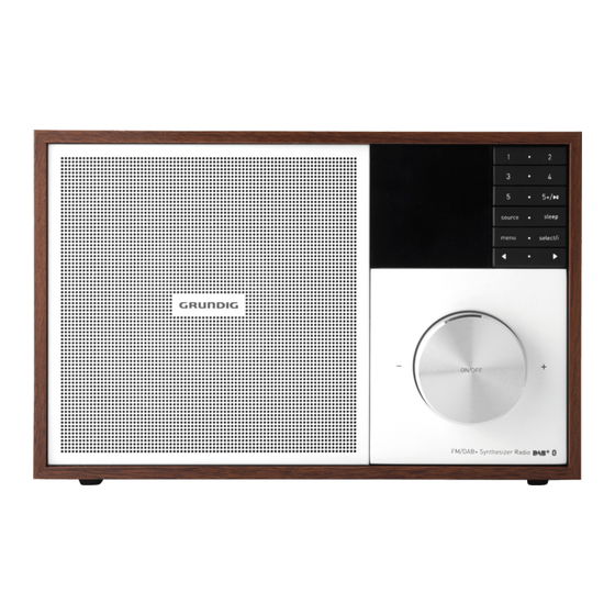 Grundig WTR 3200 BT DAB+ WEB Manuales