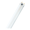 Equipo de Iluminación Osram LUMILUX XXT T8 Serie Ficha Técnica De Producto