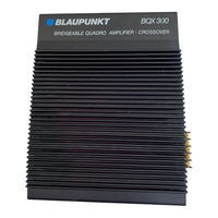 Blaupunkt BQX 300 Instrucciones De Montaje