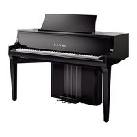 Kawai NOVUS NV10 Manual De Usuario