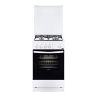 Zanussi ZCG210H1WA Manual De Instrucciones