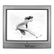 TV Sanyo DS35520 Manual Del Propietário