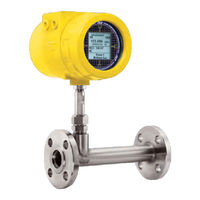 FCI ST100L Manual De Instalación, Operación Y Mantenimiento