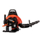 Sopladores Echo PB-755H Manual Del Operador
