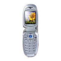Samsung SGH-E300 Manual Del Usuario