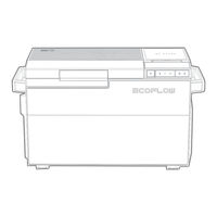 EcoFlow EFBX100 Manual De Usuario