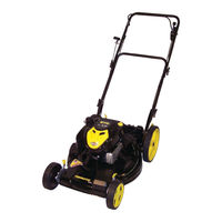Briggs & Stratton BTXP226750HW Manual Para El Operador