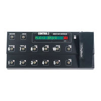 DigiTech CONTROL 2 Manual De Instrucciones