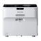 Ricoh PJ WX4152 N