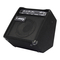 Altavoces Laney AUDIOHUB AH40 Manual De Instrucciones