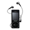 Samsung SGH-F300