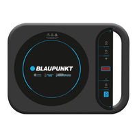 Blaupunkt BP-AI11900 Manual De Instrucciones