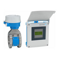 Endress+Hauser Proline Teqwave MW 500 Manual De Instrucciones
