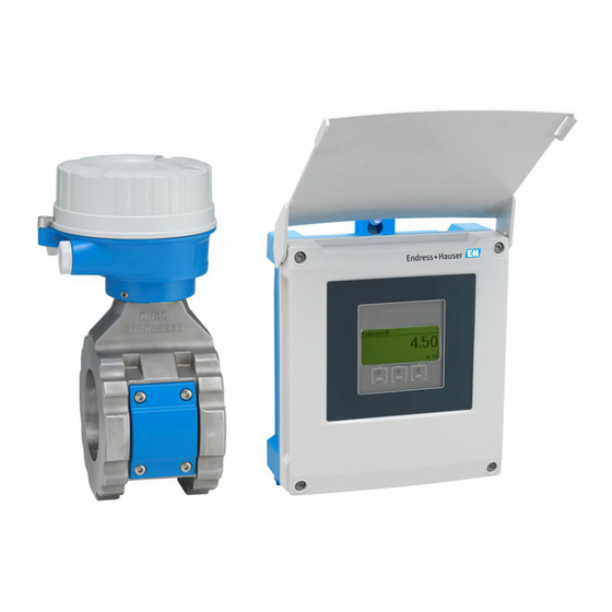 Endress+Hauser Proline Teqwave MW 500 Manual De Instrucciones
