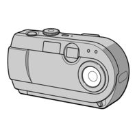 Sony Cyber-shot DSC-P20 Manual De Instrucciones