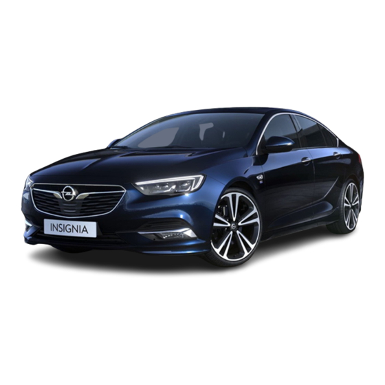 Opel INSIGNIA 2019 Manuales