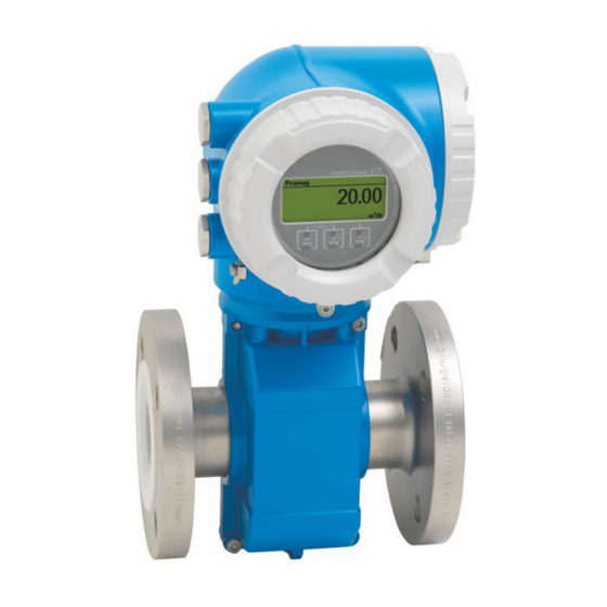 Endress+Hauser Proline Promag P 300 Información Técnica