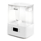 Levoit Classic 300S