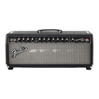 Fender Bassman 100T Instrucciones De Funcionamiento