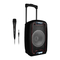 Altavoces Portátiles NGS WILD SAMBA Manual De Instrucciones