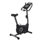 Schwinn 130i