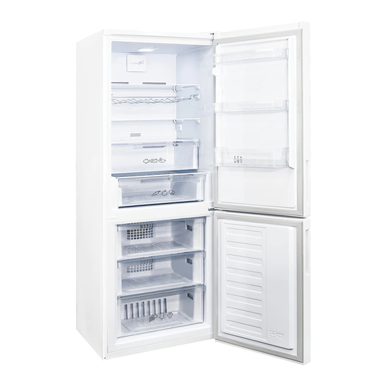 Saivod CT206NFW-N Instrucciones Para El Uso