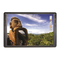 promethean ActivBoard 100 Serie