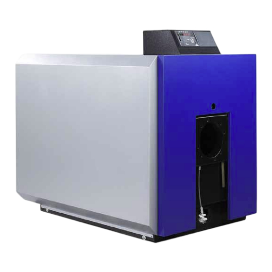 Ygnis Pyronox LRP NT plus 1 Instrucciones De Instalación Y Mantenimiento
