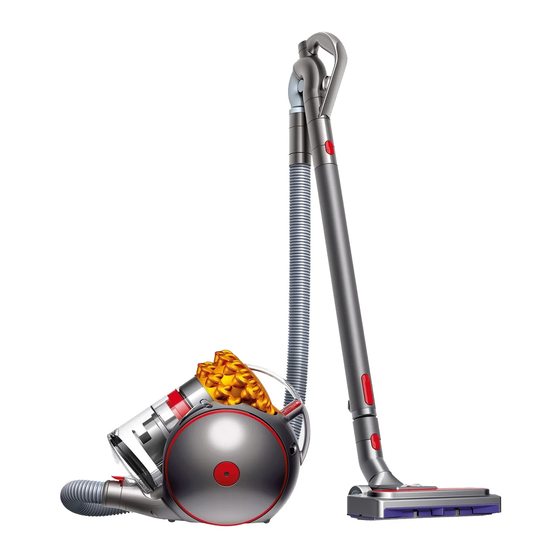 Dyson Big ball Manual De Instrucciones