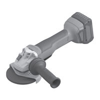 Bosch Professional GWS 18V-10 P Manual Original