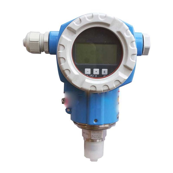 Endress+Hauser Cerabar S PMP71 Manual De Instrucciones Abreviado