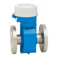 Endress+Hauser Proline Prosonic Flow P 500 Manual De Instrucciones