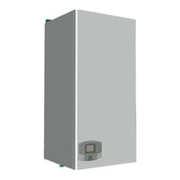Ferroli ENERGY TOP W 125 Instrucciones De Uso, Instalación Y Mantenimiento