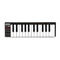 Teclados Electrónicos Akai Professional LPK25 Guia Del Usuario
