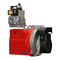 Quemadores Ecoflam MAX GAS Serie Manual De Instrucciones
