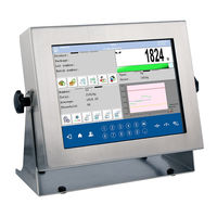 RADWAG PUE HY10 Manual De Usuario