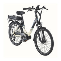 Wayscral EVERYWAY E-300 Manual De Usuario