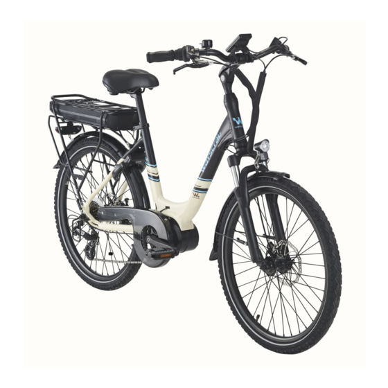 Wayscral EVERYWAY E-300 Manual De Usuario