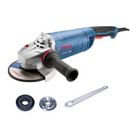 Bosch GWS Professional 28-180 LVI Manual Origina