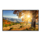 NEC MultiSync X754HB