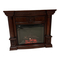 Chimeneas de Interior Twin-Star International 18EF010GAA Manual De Instrucciones