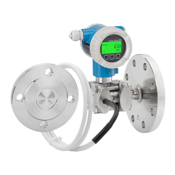 Endress+Hauser Deltabar PMD78B Manual De Instrucciones