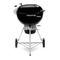 Weber MASTER-TOUCH PREMIUM