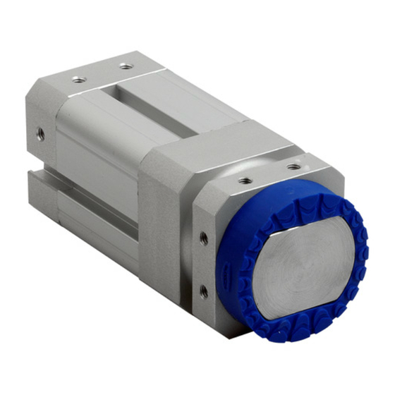 schmalz SGM-HP 20 Manual De Instrucciones