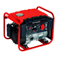 Einhell TC-PG 1100 Manual De Instrucciones